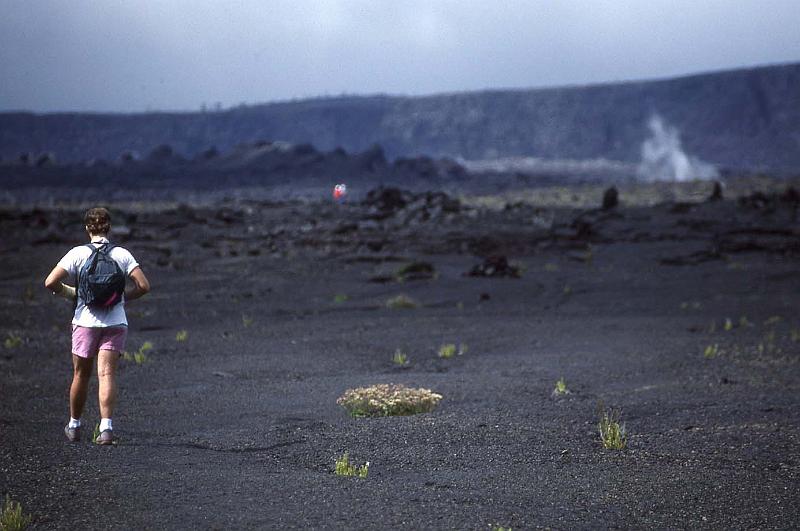 WT 0075 002-08 Hawaii.jpg